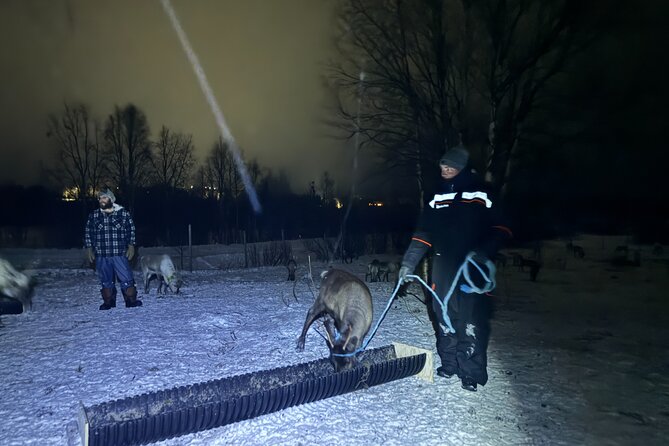 Arctic Adventure with Reindeer and Northern Lights Hunt 18:30 pm - What the $250 price really covers