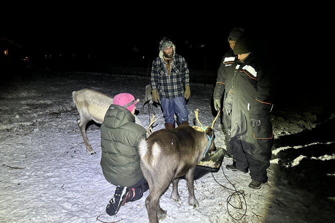 Arctic Adventure with Reindeer and Northern Lights Hunt 18:30 pm - The ride from Kiruna to Övre-Soppero