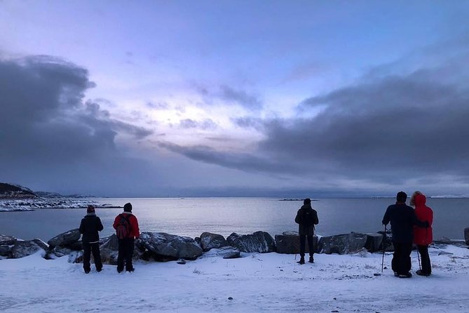 Arctic Coastal Walk - A short Arctic walk with a real sense of place