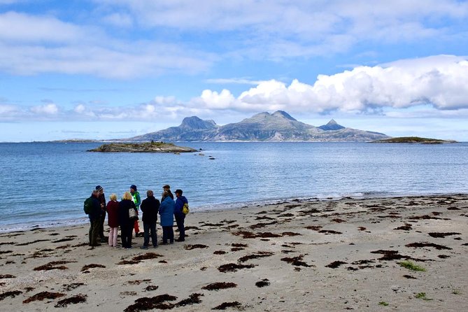 Arctic Coastal Walk - Beaches, forest, and views toward Landegode