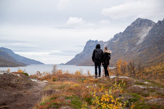 Arctic Fjord Roadtrip with Scenic Picnic from Tromso - Fjords, beaches, and lakes around Kvaløya