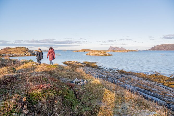 Arctic Fjord Roadtrip with Scenic Picnic from Tromso - What the picnic adds to the experience