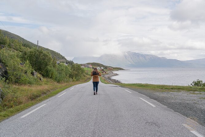 Arctic Fjord Roadtrip with Scenic Picnic from Tromso - Guides who make the drive personal