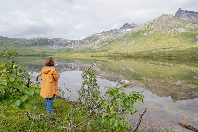 Arctic Fjord Roadtrip with Scenic Picnic from Tromso - Small group benefits and vehicle comfort
