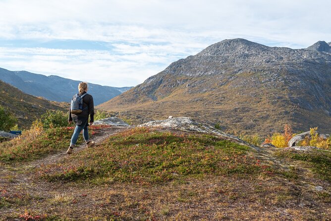 Arctic Fjord Roadtrip with Scenic Picnic from Tromso - The road from Tromsø to Kvaløya