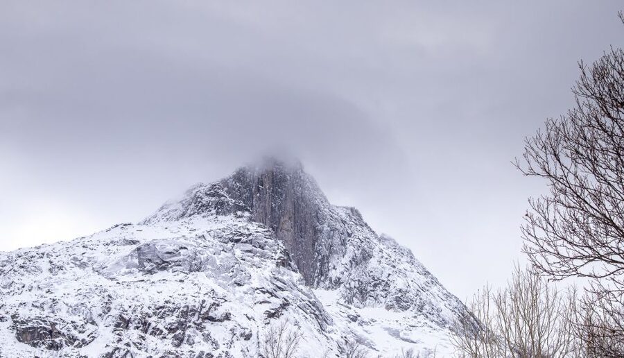 Arctic Nature Tour from Tromsø - Booking, timing, and practical details