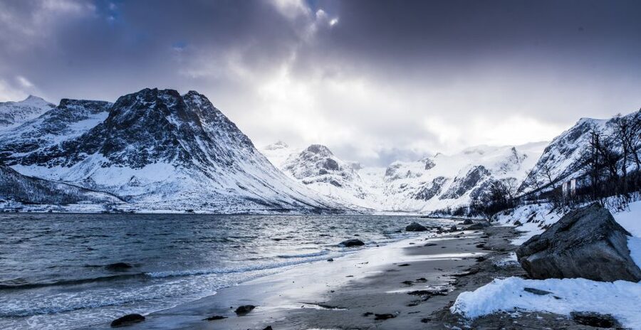 Arctic Nature Tour from Tromsø - Starting at Magic Ice Bar Tromsø
