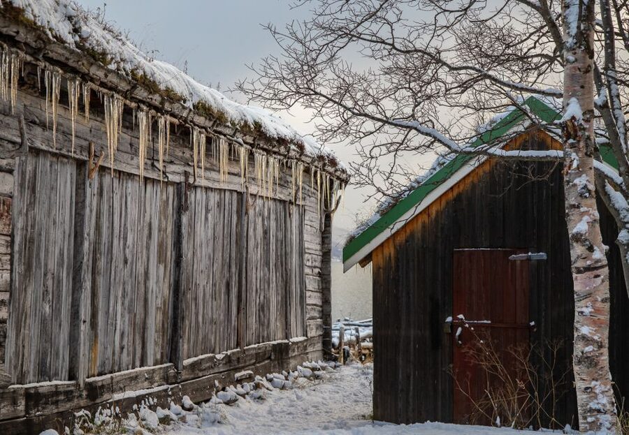 Arctic Nature Tour from Tromsø - Fjords, beaches, villages, and changing light