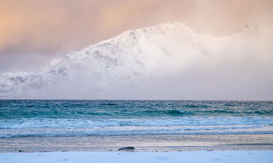 Arctic Nature Tour from Tromsø - Wildlife watching without false promises