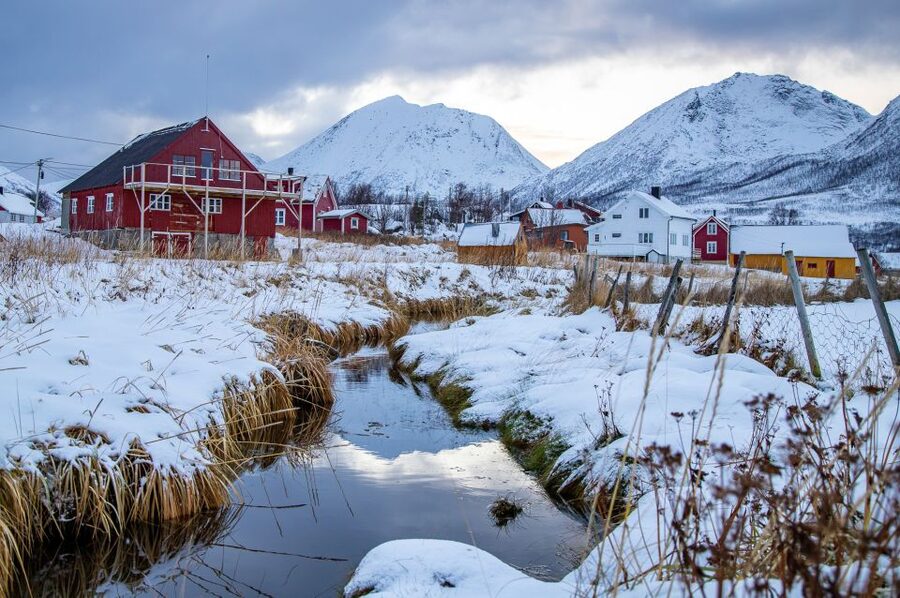 Arctic Nature Tour from Tromsø - A guide makes the difference