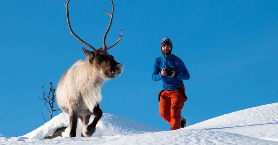 Arctic Nature Tour from Tromsø - Who will enjoy this tour most?