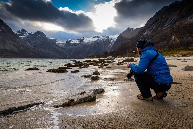 Arctic Nature Tour from Tromsø by minibus - Why Kvaløya makes a fine half-day escape