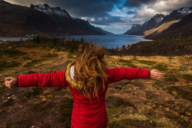 Arctic Nature Tour from Tromsø by minibus - Wildlife watching on Kvaløya