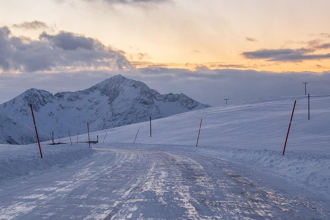 Arctic Nature Tour from Tromsø by minibus - The beach snack stop and what lunch really means
