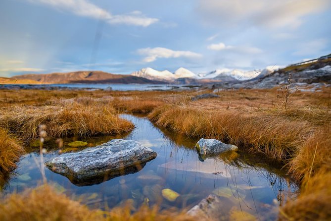 Arctic Nature Tour from Tromsø by minibus - Photography is a major part of the outing