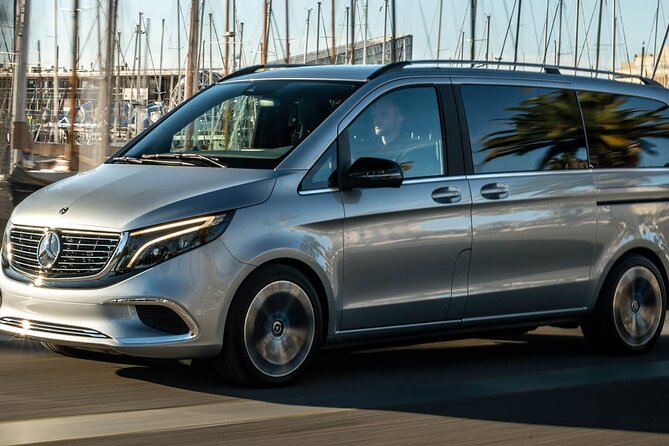 Arrival Private Transfer from Bergen Airport BGO to Bergen by luxury minivan - Who will get the most from this transfer?