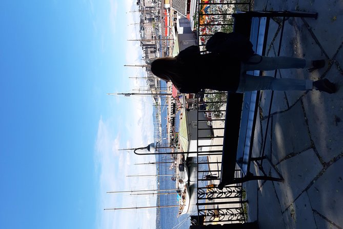 Art and Museum Tour of Oslo - Aker Brygge, the Royal Palace, and central Oslo
