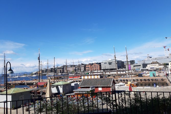Art and Museum Tour of Oslo - Picking the museum that fits your interests