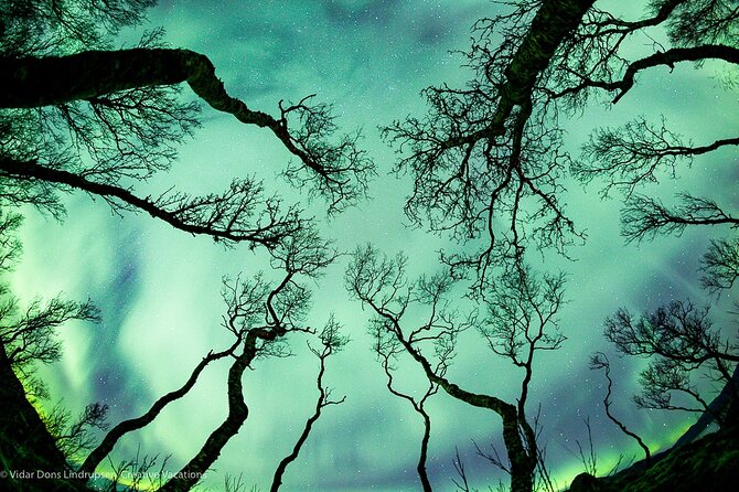 Aurora Adventure Tour with Creative Vacations - Why the small group makes a difference