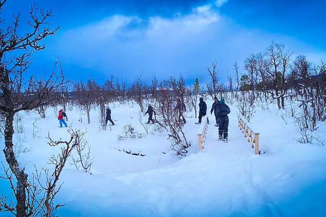 Aurora Crystal Lavvo Overnight with Activities from Tromsø - Dinner, forecasts, and camera help