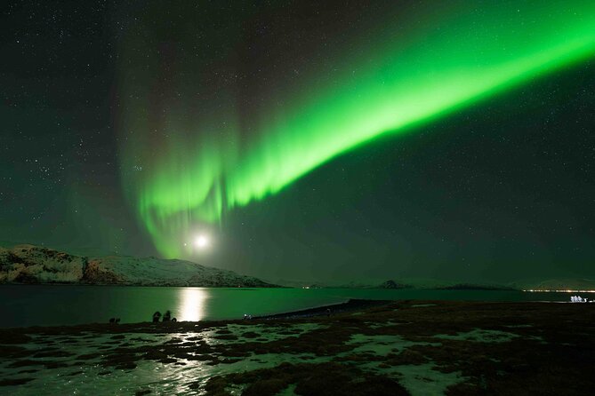 Aurora Hunt with Professional Photographer from Alta - Key points to know before you book