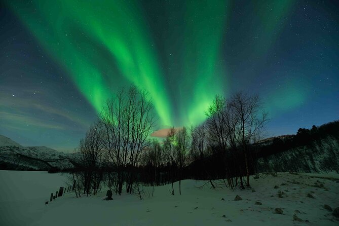 Aurora Hunt with Professional Photographer from Alta - The main drawback: no refund for any reason