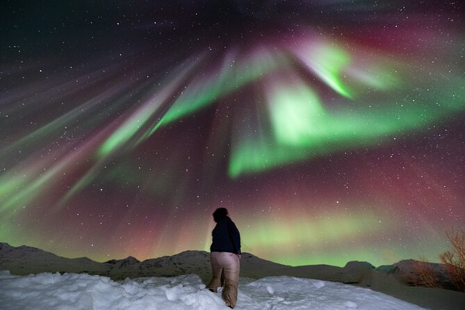 Aurora Hunt with Professional Photographer from Alta - Meeting in Alta and making the first decision