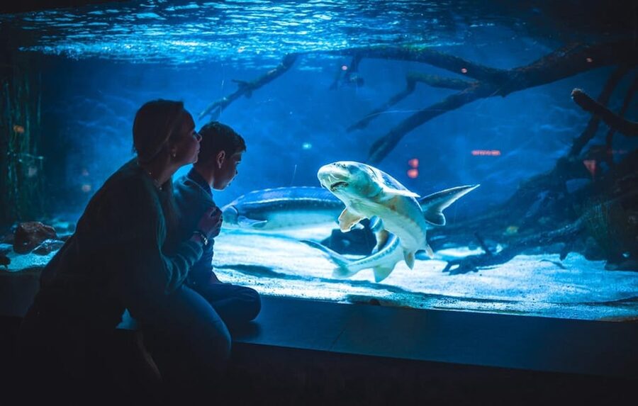 Bergen: Bergen Aquarium Entry Ticket - The animals that make the visit memorable