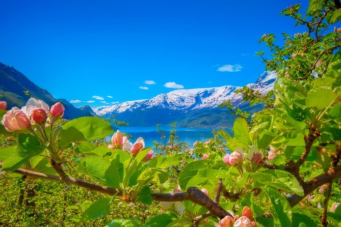 Bergen Beyond Day trip - The road time is part of the deal