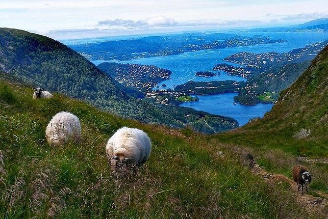 Bergen Classic Private hiking - Pack like you mean to hike