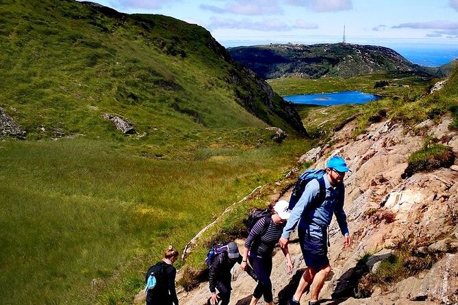 Bergen Classic Private hiking - What the Vidden trail feels like underfoot