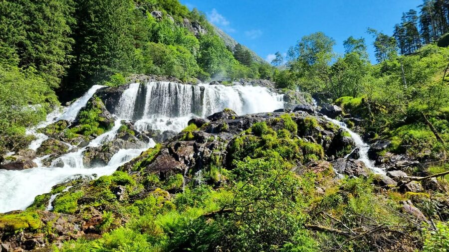 Bergen: Cruise to beautiful Rosendal by the Hardangerfjord - Rosendal gives you 3.5 hours to choose your pace