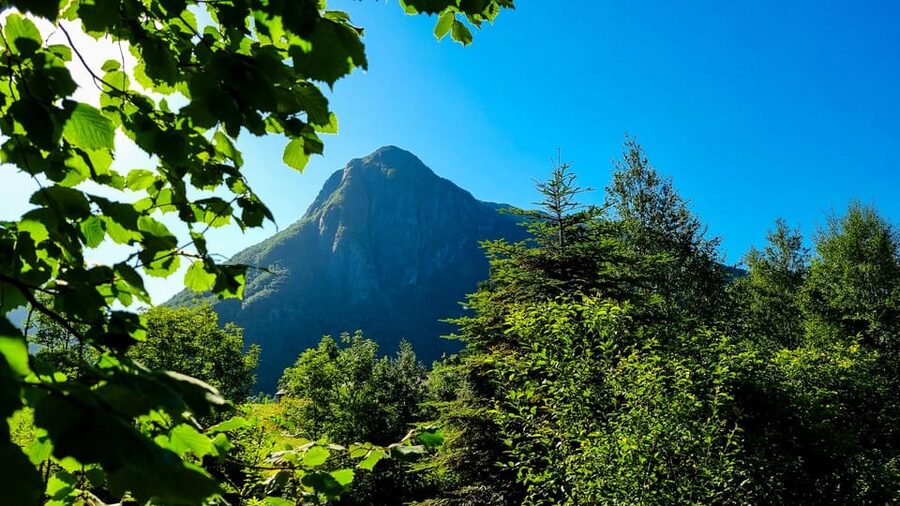 Bergen: Cruise to beautiful Rosendal by the Hardangerfjord - Weather, clothing, and practical planning