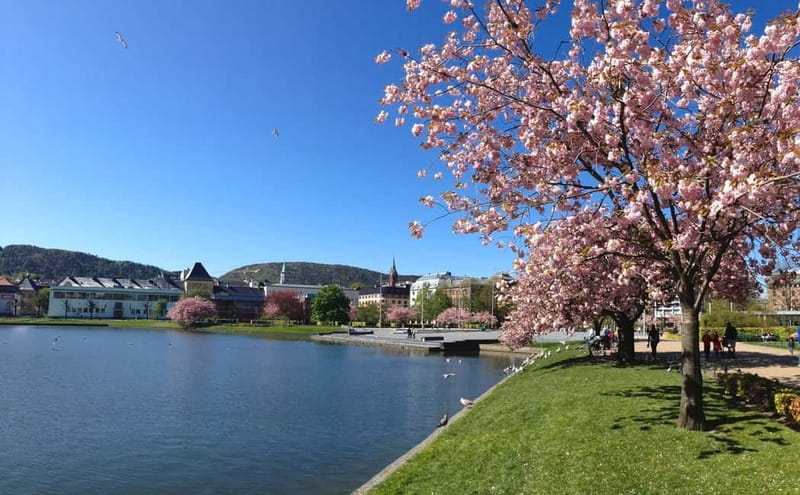 Bergen: Flam Railway, Stegastein and Fjord Cruise Day Tour - Nærøyfjord by boat