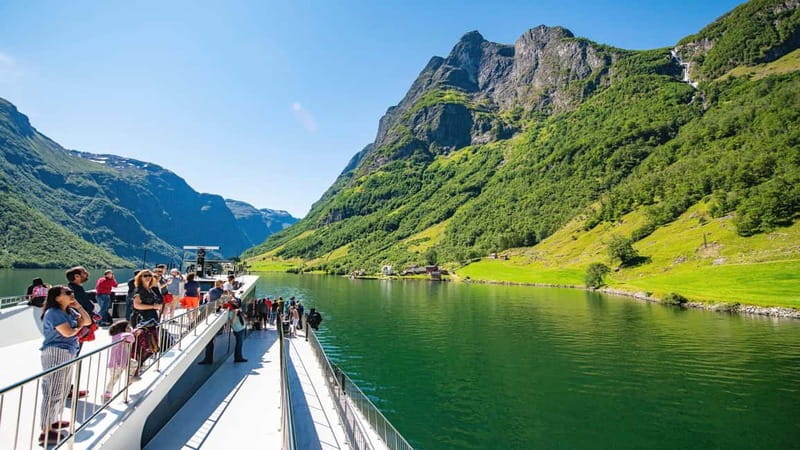 Bergen: Flam Railway, Stegastein and Fjord Cruise Day Tour - Guides who shape the day