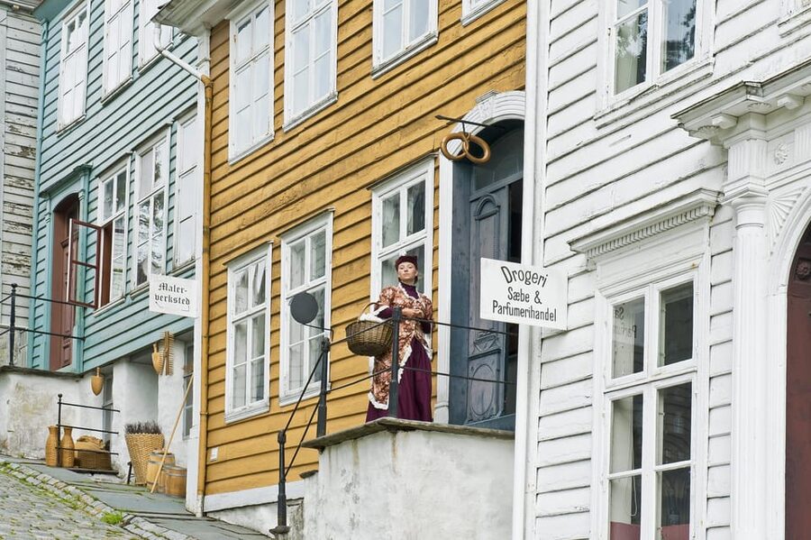Bergen: Guided Car Tour with Old Bergen Museum & Fantoft … - Why the car format works well in Bergen