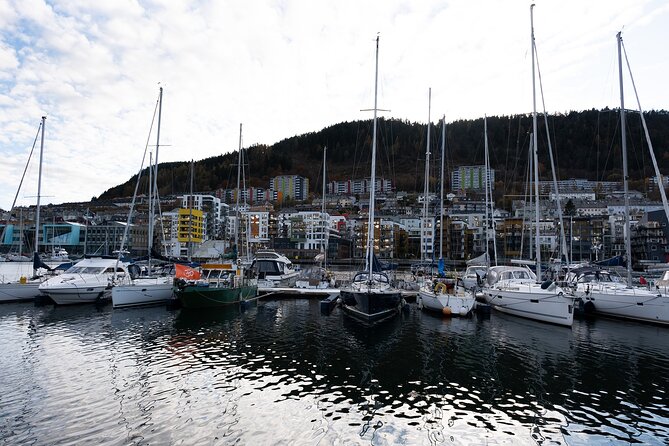 Bergen: Guided Tour by Minibus with Local Guide & Photostops - Why a minibus is useful in Bergen