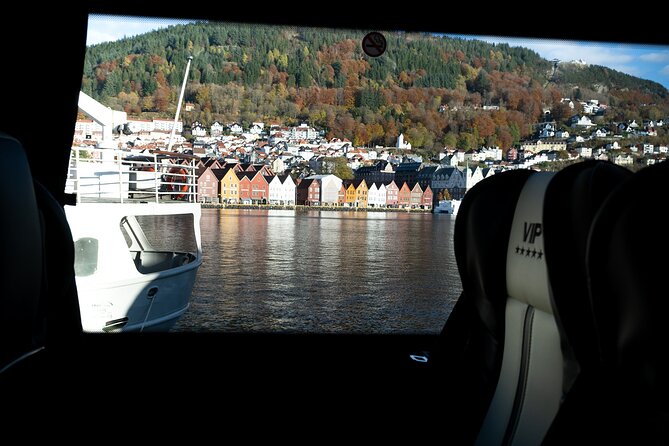Bergen: Guided Tour by Minibus with Local Guide & Photostops - Solheimsviken and the Puddefjord