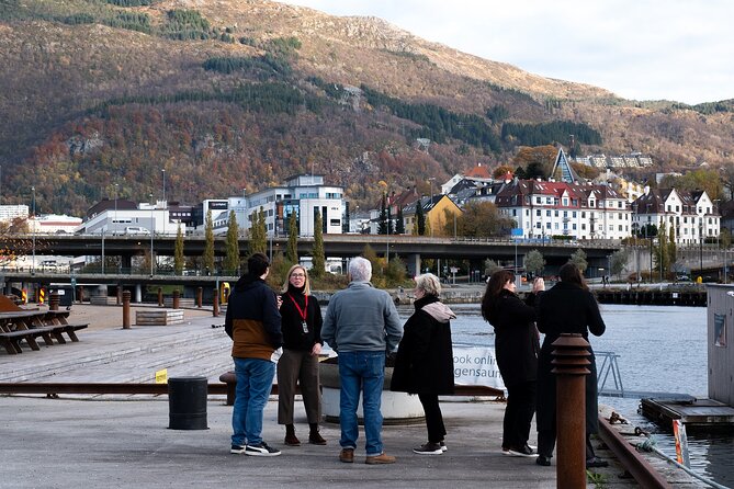 Bergen: Guided Tour by Minibus with Local Guide & Photostops - Haukeland and the climb toward Starefossen