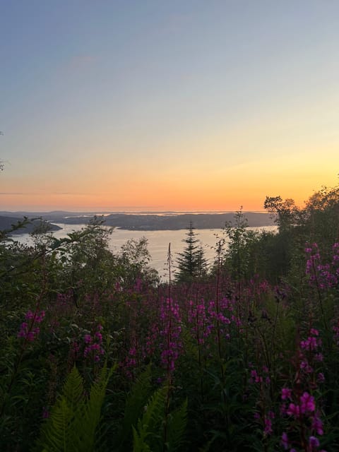 Bergen Magical Nature Tour | ViFlowExperience - Key points at a glance