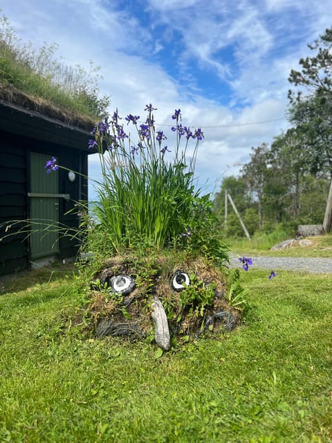Bergen Magical Nature Tour | ViFlowExperience - What makes the walk different from a standard Fløyen visit