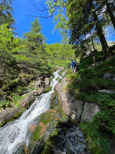 Bergen Magical Nature Tour | ViFlowExperience - Sauna views and the optional fjord dip