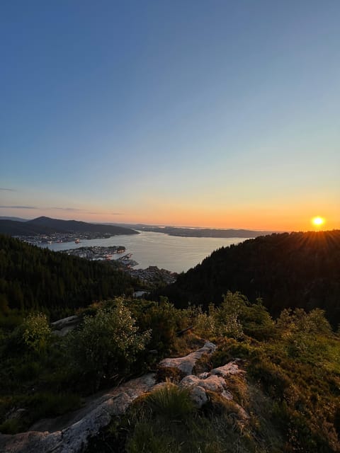 Bergen Magical Nature Tour | ViFlowExperience - Should you book the Bergen Magical Nature Tour?