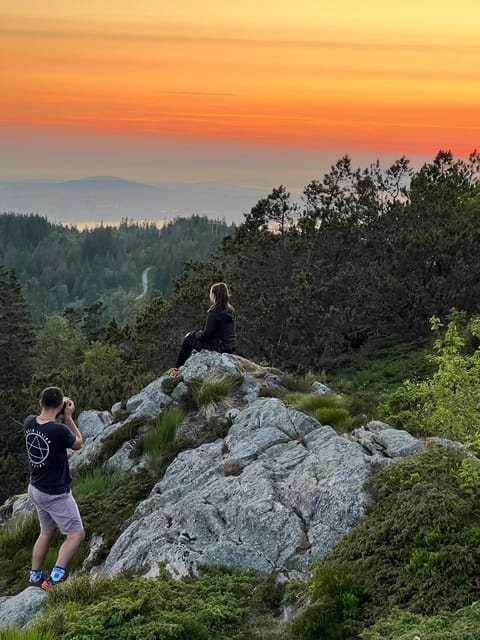 Bergen Magical Nature Tour | ViFlowExperience - Three and a half hours among Fløyen’s trails