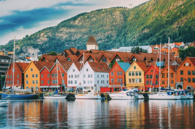 Bergen: Mostraumen Fjord Cruise - Wildlife and the chance of seeing the fjord at its wildest