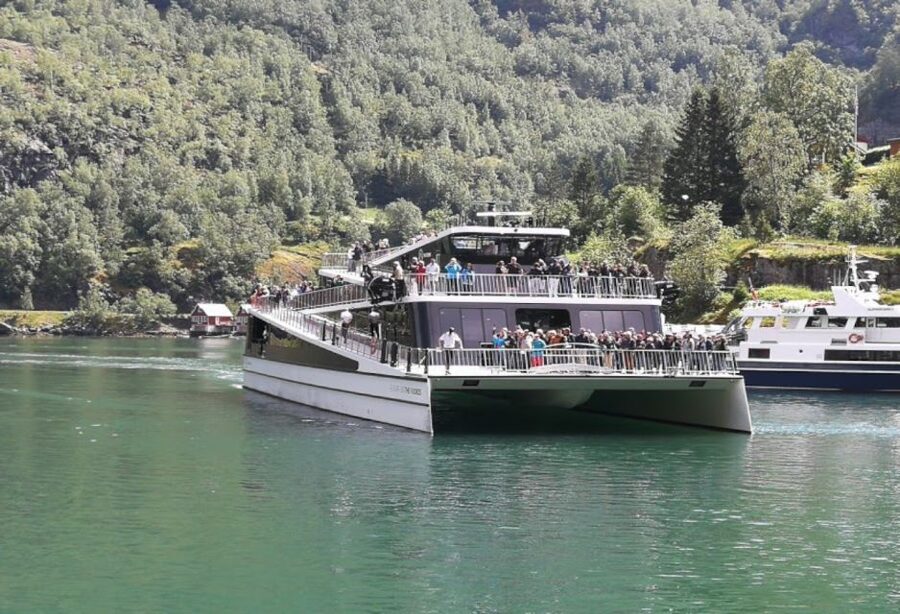 Bergen: Nærøyfjord Cruise and Flåm Railway Ride to Oslo - What the $1,174 price really buys