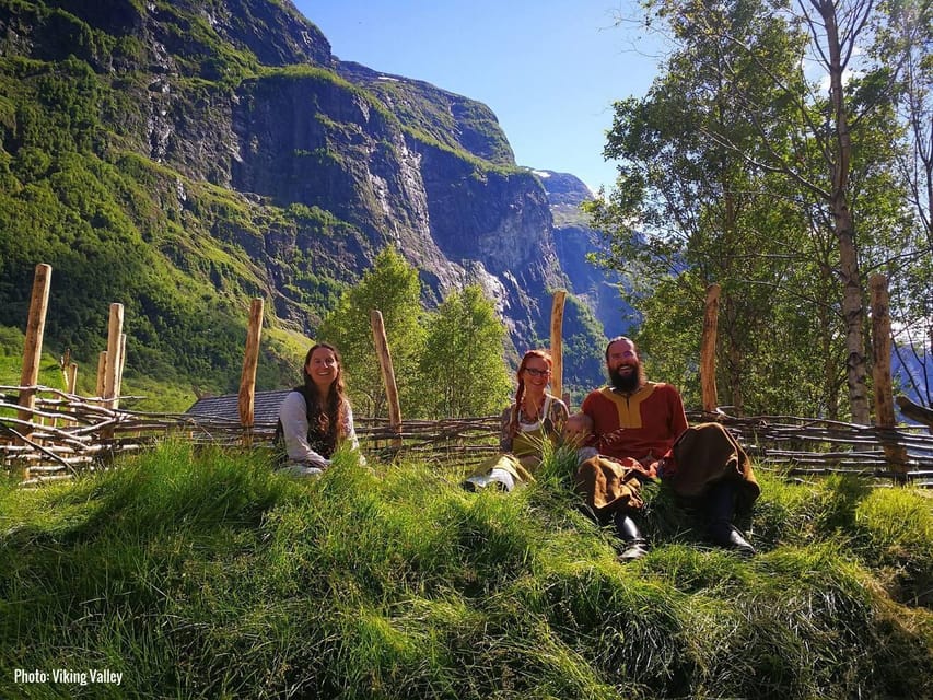 Bergen: Nærøyfjord Cruise and Flåm Railway Ride to Oslo - Who should book this experience