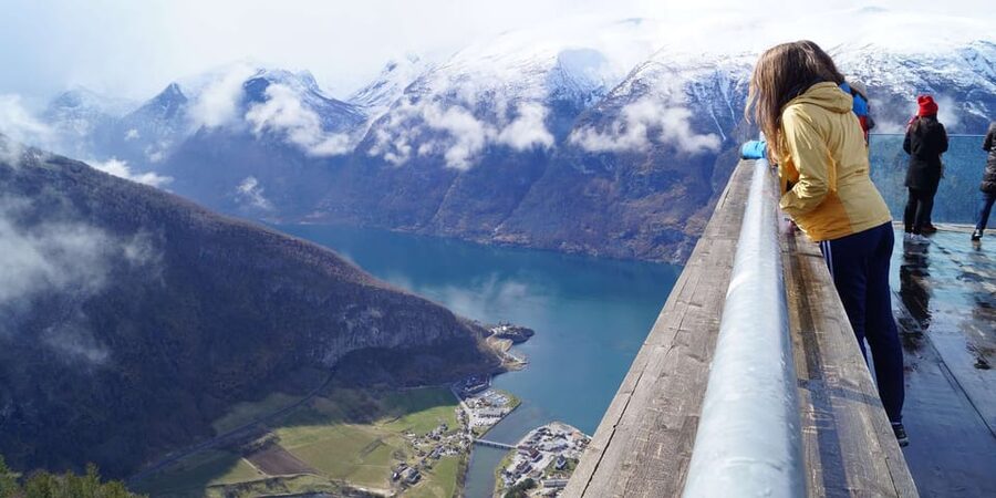 Bergen: Nærøyfjorden, Flåm, and Stegastein Guided Bus Tour - What your guide adds to the experience