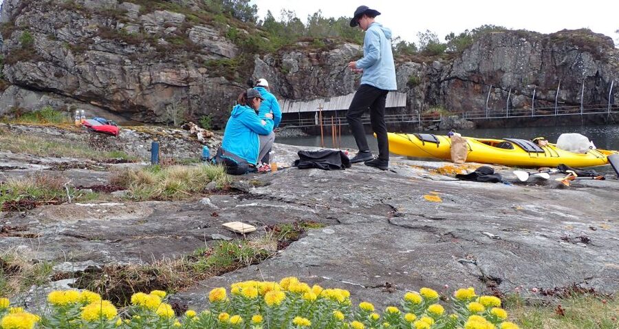 Bergen: Øygarden Islets Guided Kayaking Tour - Safety training and the feel of the double kayaks