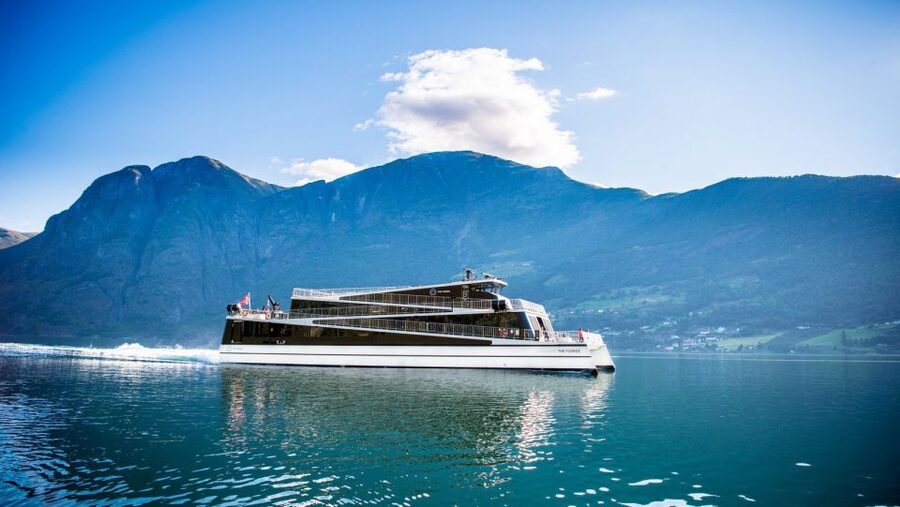 Bergen: Private Day Tour, Nærøyfjord Cruise and Flåm Railway - Guides are a major part of the value